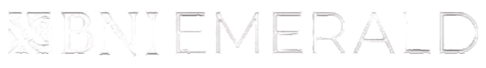 BNI Logo